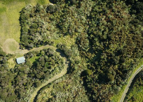 Aerial Photo of Property, Hokianga