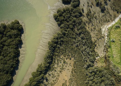 Aerial Photo of Property, Hokianga