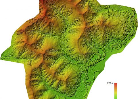 aerial ecological survey