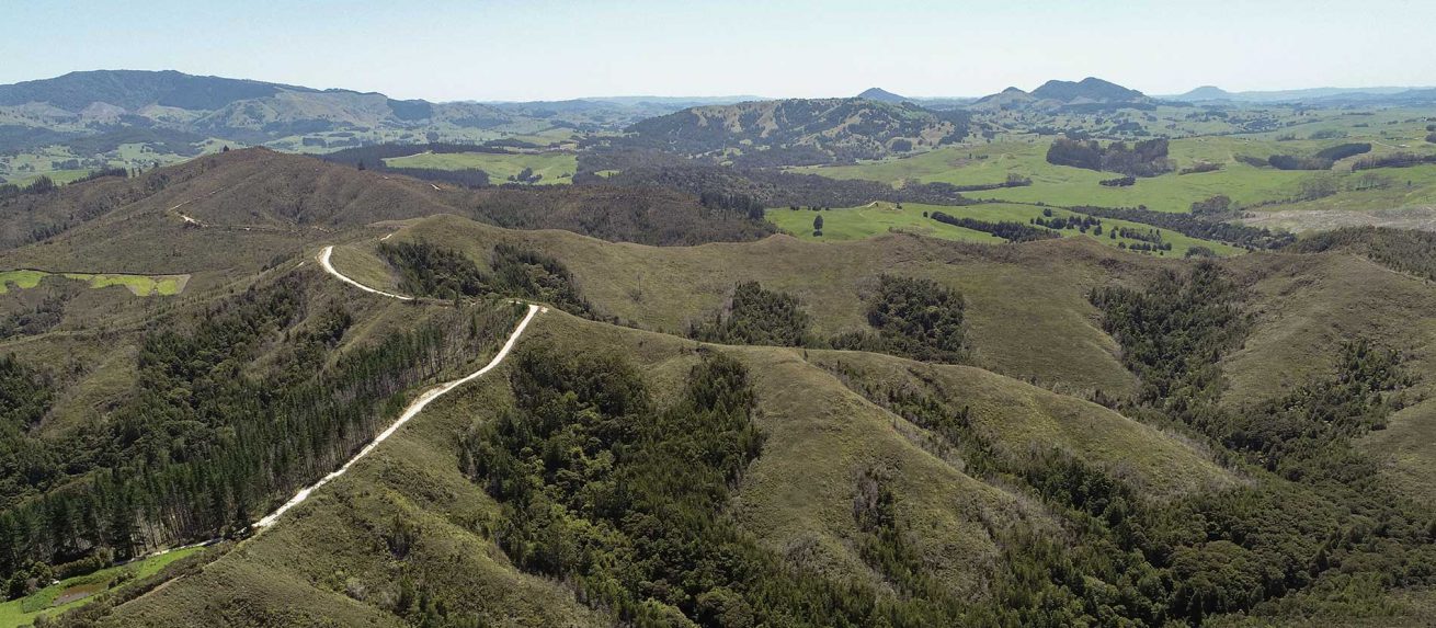 aerial ecological survey