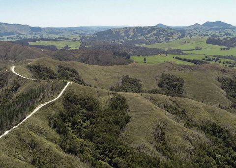 aerial ecological survey