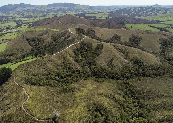 aerial ecological survey